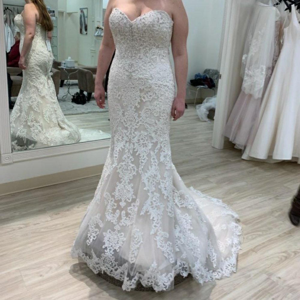 Stella by Sottero & Midgley Wedding Dress Size 12